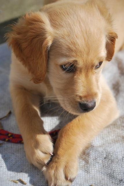 find-lab-work-in-evansville-henderson-ky-640x480-18007329.jpeg