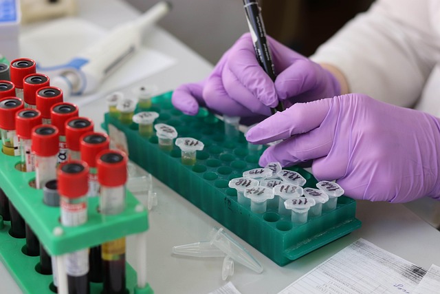 Find Lab Work In Flint-traverse City-bay City