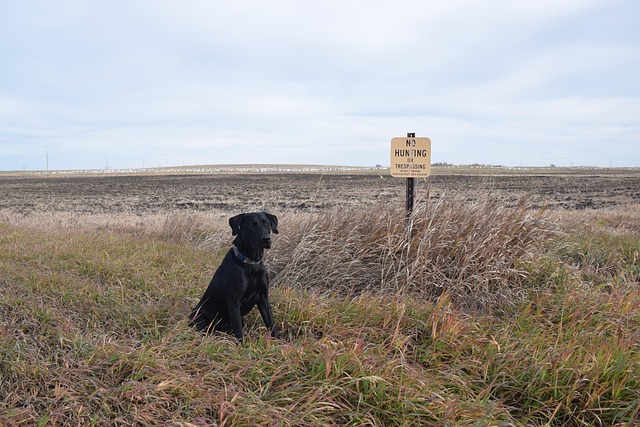 find-lab-work-in-lansing-east-lansing-640x480-6191821.jpeg