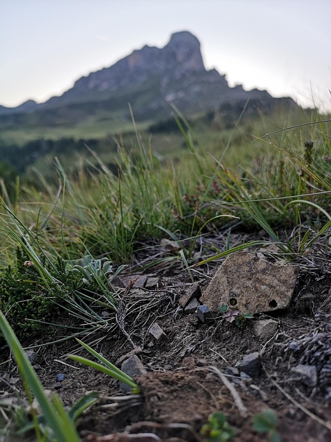 find-mounjaro-in-warren-troy-farmington-640x480-54312244.jpeg