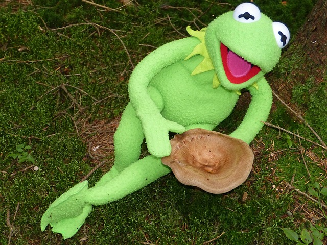find-ozempic-in-ann-arbor-640x480-46705819.jpeg