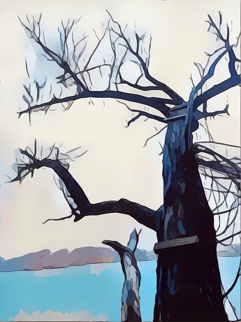 find-ozempic-in-ann-arbor-640x480-95805375.jpeg