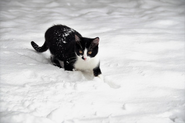 find-ozempic-in-cincinnati-640x480-5567016.jpeg