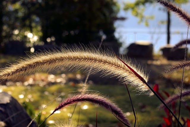 find-ozempic-in-fort-wayne-huntington-au-640x480-41662058.jpeg