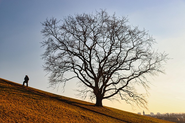 Find Semaglutide In Warren-troy-farmington Hills