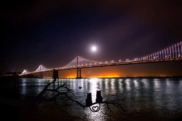 Find Tirzepatide In Flint-traverse City-bay City