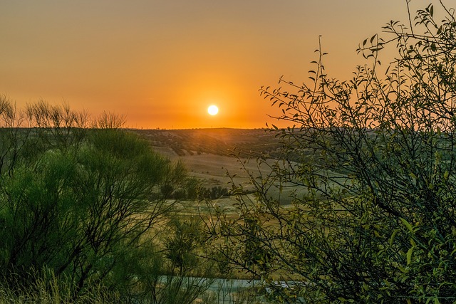 Find Tirzepatide In Toledo