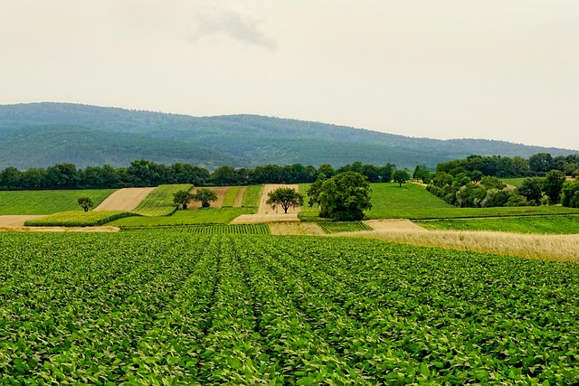 find-tirzepatide-in-warren-troy-farmingt-640x480-95809814.jpeg