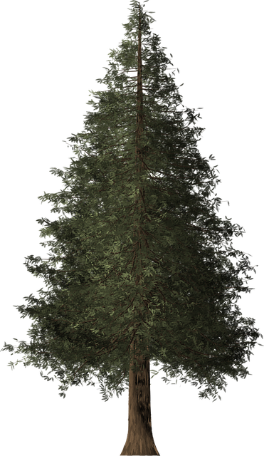 find-wegovy-in-ann-arbor-640x480-6944923.png