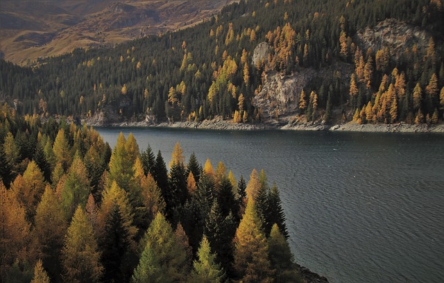 find-wegovy-in-gary-lake-station-640x480-84355336.jpeg