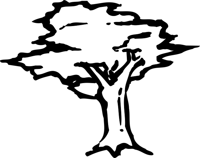 find-zepbound-in-ann-arbor-640x480-96214290.png