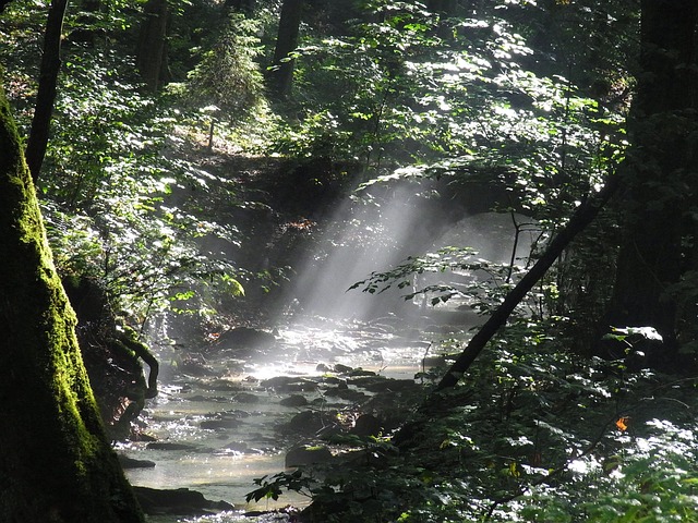 find-zepbound-in-evansville-henderson-ky-640x480-2106780.jpeg