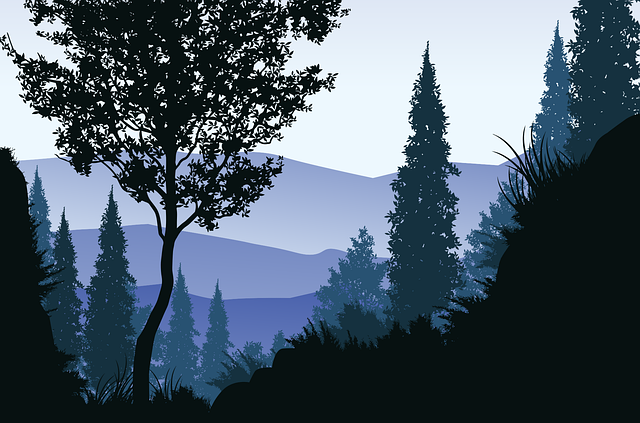 find-zepbound-in-warren-troy-farmington-640x480-60146705.png