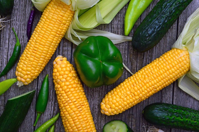 Telehealth Weight Loss Consultations Near Me
