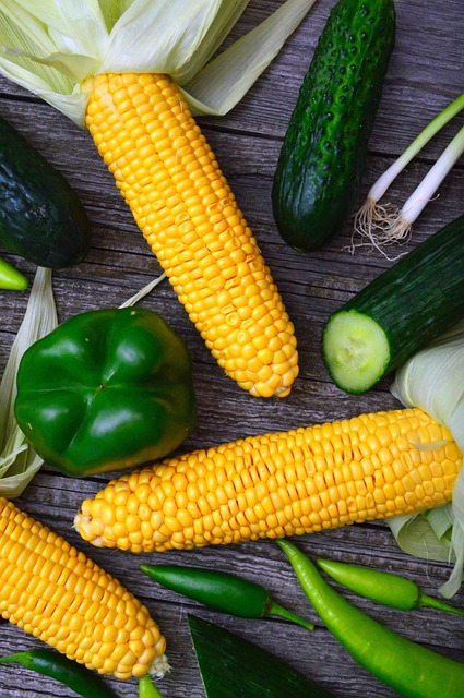 Telehealth Weight Loss Consultations South Bend-mishawaka In-mi