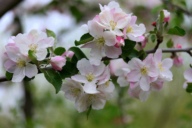 Find Integrative Medicine In Ann Arbor