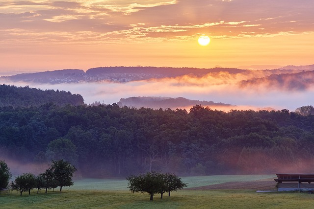 Find Integrative Medicine In Evansville-henderson Ky-in