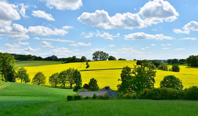 Find Integrative Medicine In Warren-troy-farmington Hills