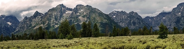find-mounjaro-in-grand-rapids-kentwood-m-640x480-26672250.jpeg