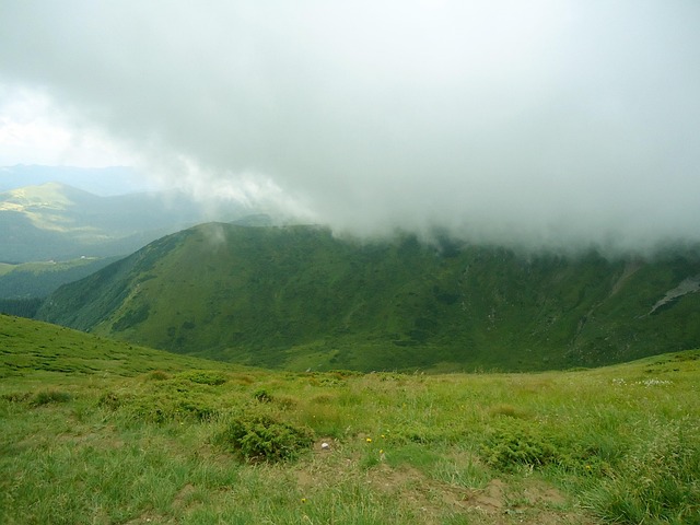 find-mounjaro-in-warren-troy-farmington-640x480-76640079.jpeg