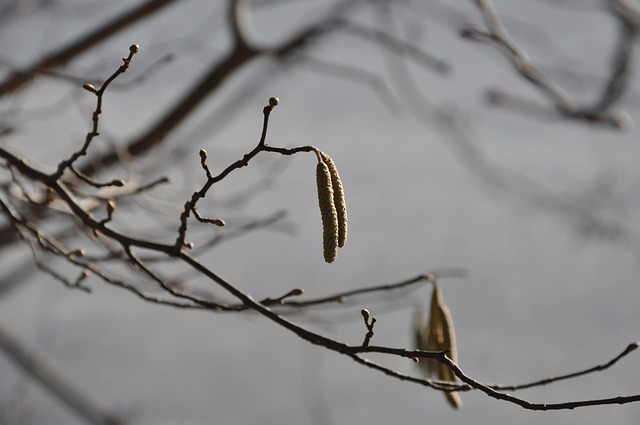 find-ozempic-in-fort-wayne-huntington-au-640x480-21240484.jpeg