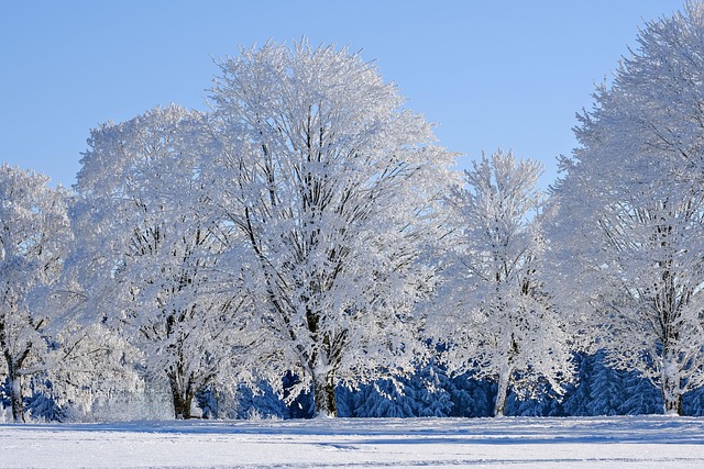 find-ozempic-in-south-bend-mishawaka-in-640x480-75112008.jpeg