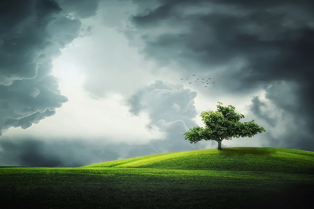Find Semaglutide In Warren-troy-farmington Hills