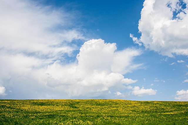 Find Tirzepatide In Warren-troy-farmington Hills