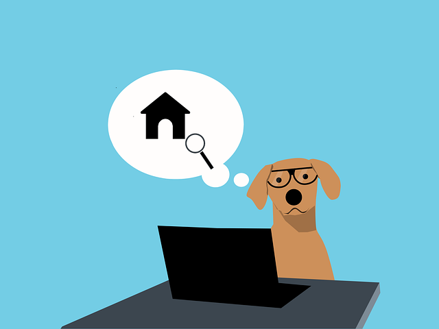 Find Wegovy In Bloomington-bedford