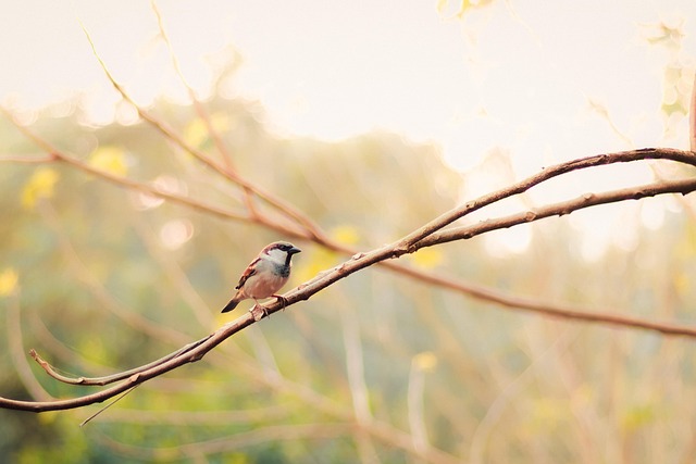 Find Functional Medicine In South Bend-mishawaka In-mi