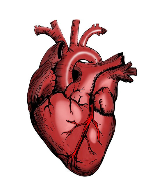 Find Integrative Medicine In Warren-troy-farmington Hills