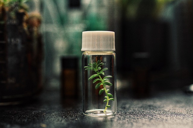 Find Lab Work In Fort Wayne-huntington-auburn