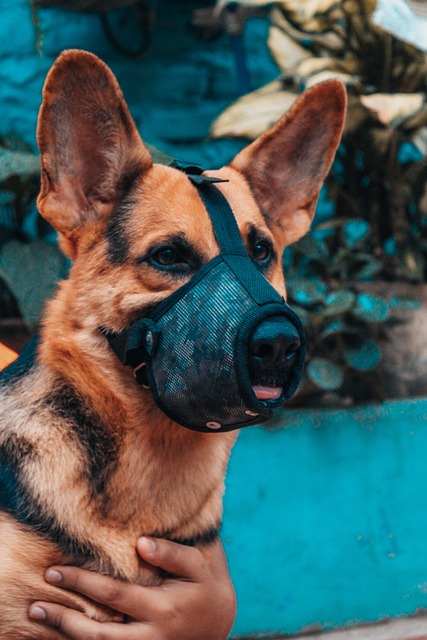 Find Lab Work In Gary-lake Station