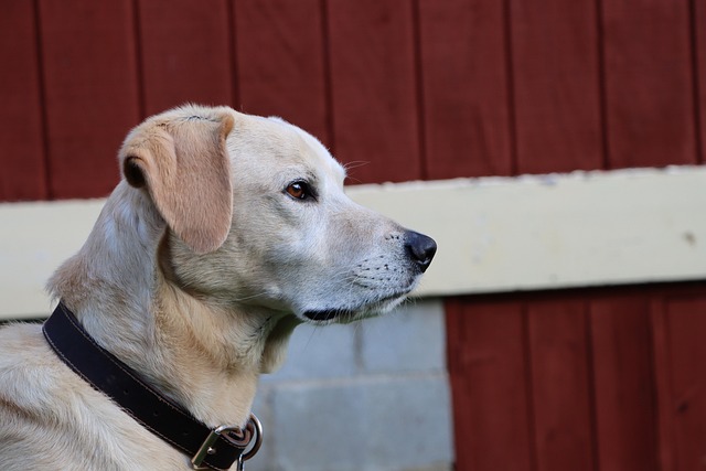 Find Lab Work In Grand Rapids-kentwood-muskegon