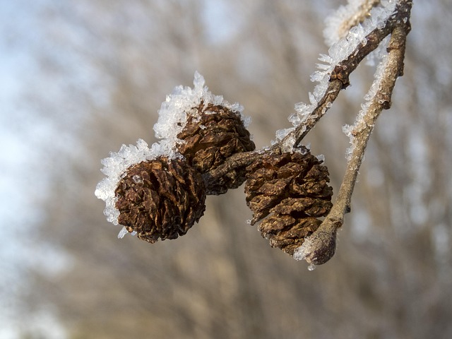 Find Mounjaro In Evansville-henderson Ky-in