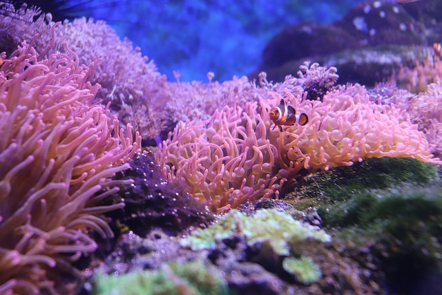 Top Ozempic Providers in Grand Rapids & Muskegon Areas
