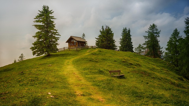 find-tirzepatide-in-warren-troy-farmingt-640x480-62447287.jpeg