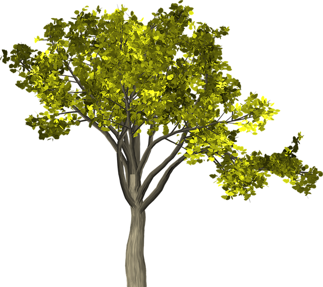 find-wegovy-in-ann-arbor-640x480-37045184.png