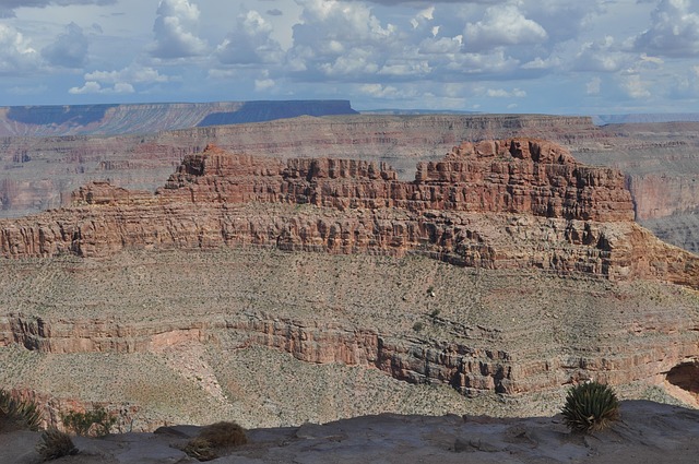 Find Wegovy In Grand Rapids-kentwood-muskegon