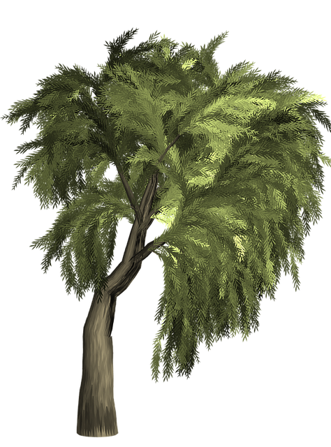 find-zepbound-in-ann-arbor-640x480-15513504.png