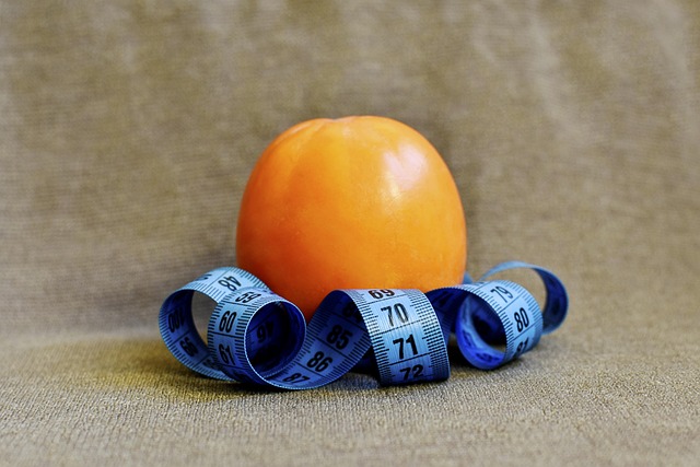 Telehealth Weight Loss Consultations Dayton