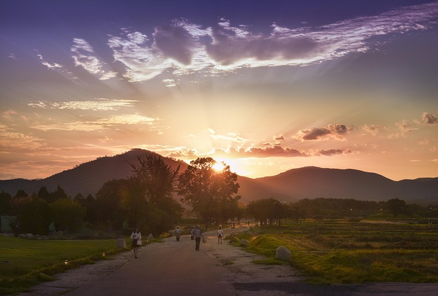 Find Functional Medicine In Warren-troy-farmington Hills