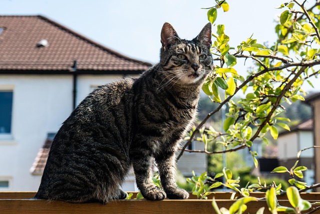 Find Glp 1 In Ann Arbor