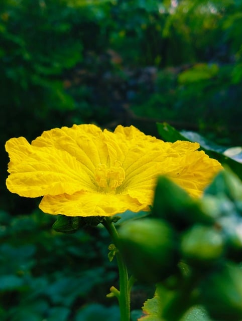 Find Glp 1 In Lansing-east Lansing