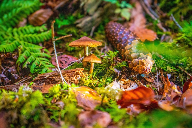 Find Integrative Medicine In Evansville-henderson Ky-in