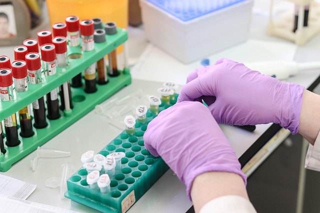 Find Lab Work In Warren-troy-farmington Hills