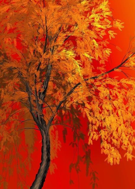 Find Mounjaro In Ann Arbor