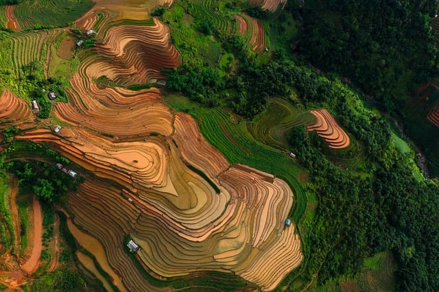 Find Mounjaro In Warren-troy-farmington Hills