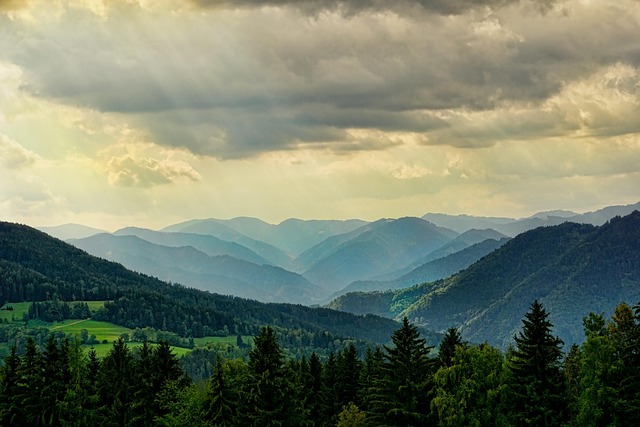 Find Mounjaro In Warren-troy-farmington Hills