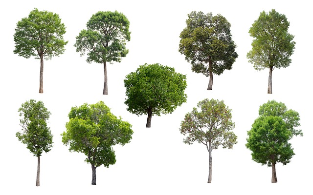 Find Ozempic In Ann Arbor